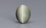 Cat's Eye - 7.58 Carat Prime Quality CE-10696