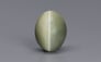 Cat's Eye - 7.82 Carat Prime Quality CE-10695