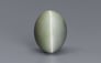 Cat's Eye - 9.08 Carat Prime Quality CE-10672