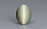 Cat's Eye - 9.42 Carat Prime Quality CE-10664