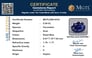 cbs-6333-certificate-mgtlcbs-6333-81995