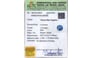 cbs-6394-certificate-cbs-6394-44664