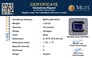 cbs-6434-certificate-mgtlcbs-6434-76236