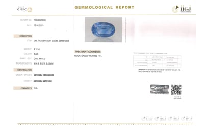 certificate_image6052-45182