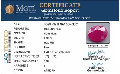 certificate_imageBR-7369_1729059032