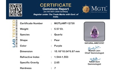 certificate_imageMGTLAMT-12730_1715592679