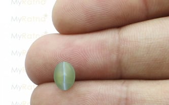 Ceylon Cat's Eye - 1.46 Carat Limited Quality CE-10508