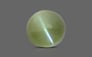 Ceylon Cat's Eye - 1.46 Carat Limited Quality CE-10513