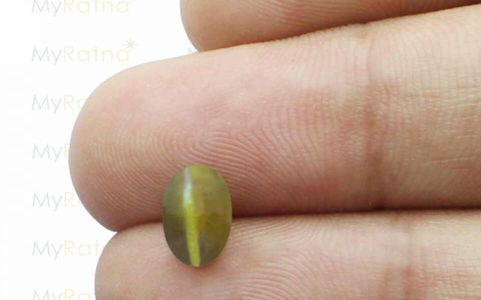Ceylon Cat's Eye - 1.5 Carat Prime Quality CE-10505
