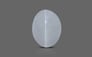 Ceylon Cat's Eye - 1.65 Carat Prime Quality CE-10600 