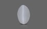 Ceylon Cat's Eye - 1.83 Carat Prime Quality CE-10602