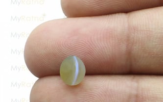 Ceylon Cat's Eye - 1.85 Carat Rare Quality CE-10504