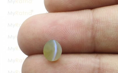 Ceylon Cat's Eye - 1.85 Carat Rare Quality CE-10504