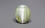 Ceylon Cat's Eye - 13.69 Carat Prime Quality CE-10808