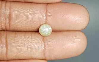 Ceylon Cat's Eye - 2.35 Carat Prime Quality CE-10629