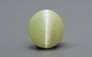 Ceylon Cat's Eye - 2.48 Carat Rare Quality CE-10703