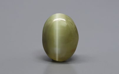 Ceylon Cat's Eye - 2.54 Carat Limited Quality CE-10708