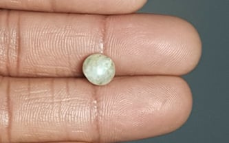 Ceylon Cat's Eye - 2.65 Carat Prime Quality CE-10657 