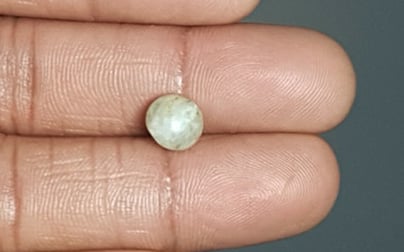 Ceylon Cat's Eye - 2.65 Carat Prime Quality CE-10657 