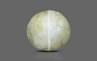 Ceylon Cat's Eye - 2.65 Carat Prime Quality CE-10657 