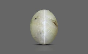 Ceylon Cat's Eye - 2.67 Carat Prime Quality CE-10642