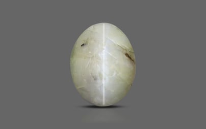 Ceylon Cat's Eye - 2.67 Carat Prime Quality CE-10642