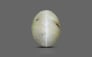 Ceylon Cat's Eye - 2.67 Carat Prime Quality CE-10642
