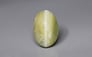 Ceylon Cat's Eye - 2.71 Carat Prime Quality CE-10645
