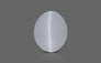 Ceylon Cat's Eye - 2.75 Carat Prime Quality CE-10601