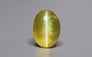 Ceylon Cat's Eye - 2.75 Carat Rare Quality CE-10809