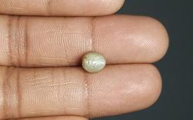 Ceylon Cat's Eye - 2.86 Carat Prime Quality CE-10660