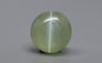 Ceylon Cat's Eye - 2.87 Carat Limited Quality CE-10715