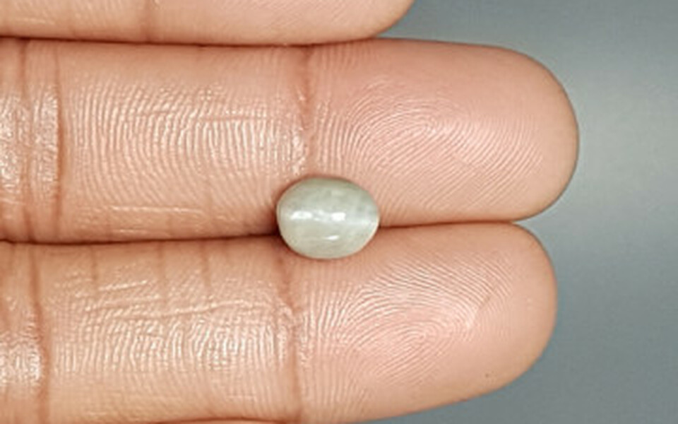 Ceylon Cat's Eye - 2.88 Carat Prime Quality CE-10623