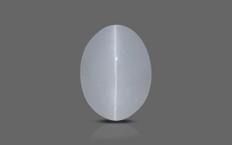 Ceylon Cat's Eye - 3.05 Carat Prime Quality CE-10611