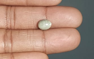 Ceylon Cat's Eye - 3.11 Carat Prime Quality CE-10646