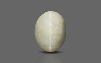 Ceylon Cat's Eye - 3.11 Carat Prime Quality CE-10646