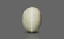 Ceylon Cat's Eye - 3.11 Carat Prime Quality CE-10646