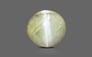 Ceylon Cat's Eye - 3.21 Carat Prime Quality CE-10630