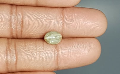 Ceylon Cat's Eye - 3.24 Carat Prime Quality CE-10621