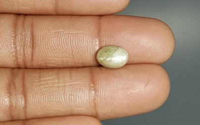 Ceylon Cat's Eye - 3.3 Carat Prime Quality CE-10626
