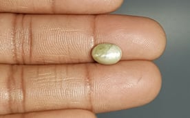 Ceylon Cat's Eye - 3.3 Carat Prime Quality CE-10626
