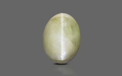 Ceylon Cat's Eye - 3.3 Carat Prime Quality CE-10626