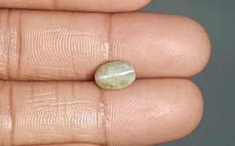 Ceylon Cat's Eye - 3.55 Carat Prime Quality CE-10637