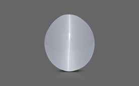 Ceylon Cat's Eye - 3.85 Carat Prime Quality CE-10595