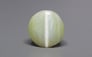 Ceylon Cat's Eye - 3.92 Carat Limited Quality CE-10796
