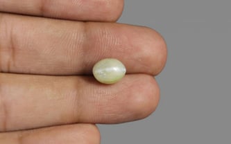 Ceylon Cat's Eye - 4.21 Carat Limited Quality CE-10613