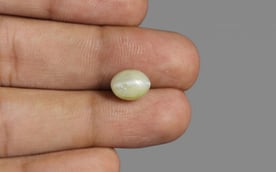Ceylon Cat's Eye - 4.21 Carat Limited Quality CE-10613