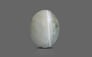 Ceylon Cat's Eye - 4.39 Carat Limited Quality CE-10616