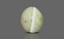Ceylon Cat's Eye - 4.64 Carat Prime Quality CE-10647