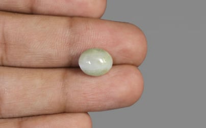 Ceylon Cat's Eye - 4.67 Carat Limited Quality CE-10619